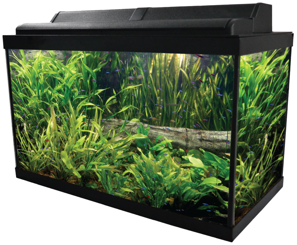 Main 10 Kit (1000x825), Png Download