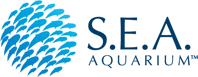 Sea Aquarium Singapore Logo (692x383), Png Download