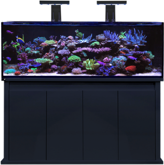 D D Reef Pro 1500s Black - Dd Reef Pro 1500 (400x400), Png Download