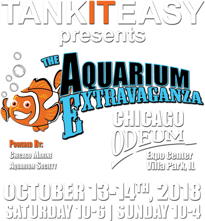 Aquarium Png (750x800), Png Download