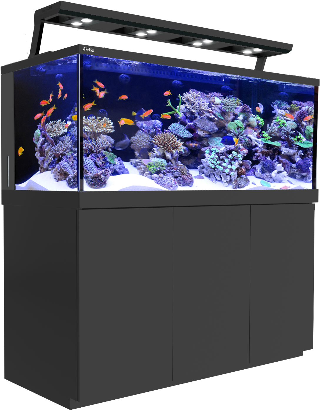 Red Sea Max Eserie (1142x1500), Png Download