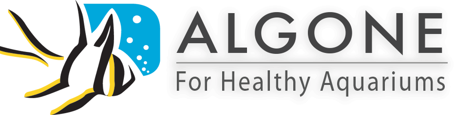 Logo Header Menu - Aquarium Logo Brand (934x237), Png Download