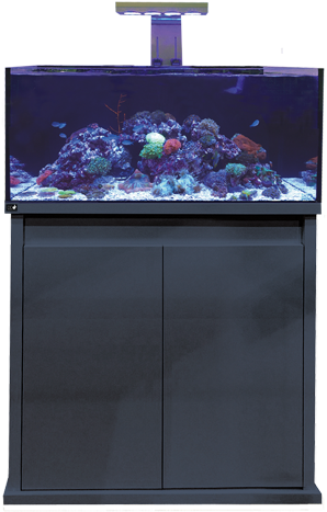 D D Reef Pro - Dd Reef Pro 900 (500x500), Png Download
