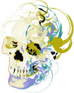 Gold Skull - Skull (674x518), Png Download