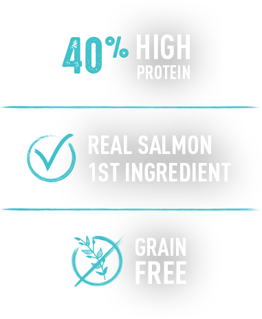 Drycat-salmonoceanfish - Chicken As Food (381x464), Png Download