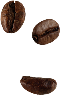 El Aroma De Café Desaparece Rápidamente Después De - Chicchi Di Caffè Png (500x550), Png Download