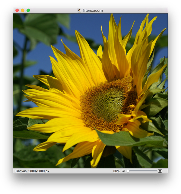Screen Shot 2015 05 07 At - Flower (600x642), Png Download