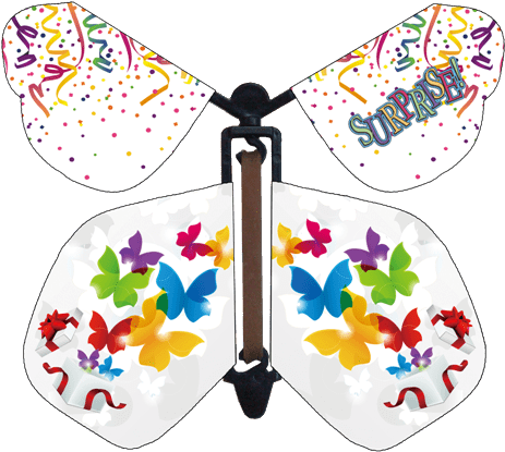 Fun For Birthdays, Parties And Special Events Our Surprise - Butterfly (480x423), Png Download