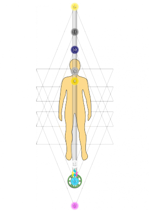 Anti Particle Chakras 8 - Morphogenetic Chakras (300x426), Png Download