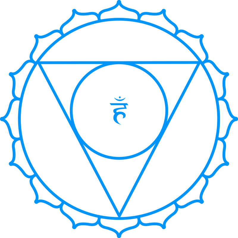 Picture - City Of South Lake Tahoe Logo (800x800), Png Download