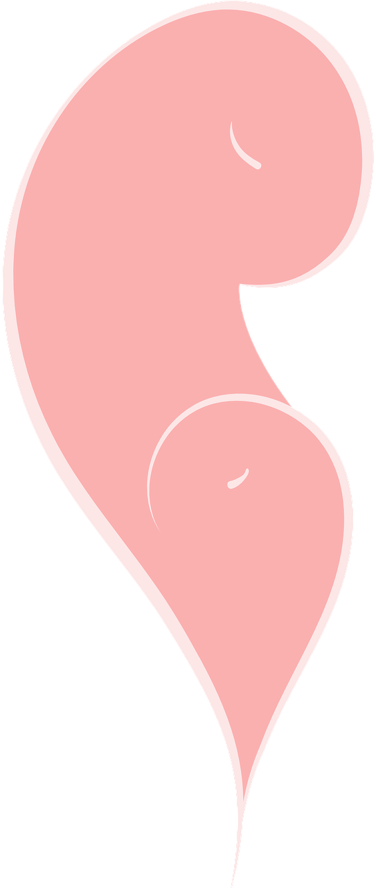 Heart Family Vector Png - Illustration (360x720), Png Download