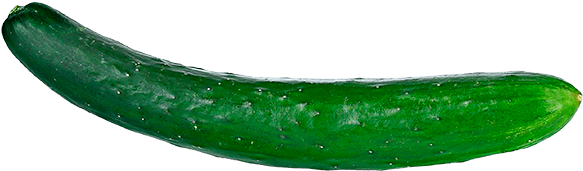 Pepino Japonês - Snap Pea (600x600), Png Download