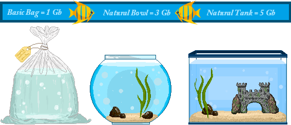 W9e1j6d (567x244), Png Download