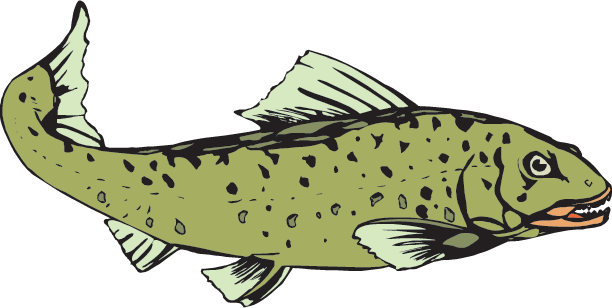 Salmon (612x308), Png Download