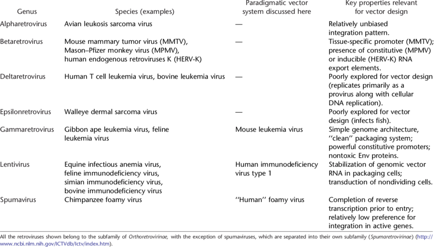 Taxonomy Of The Retroviral Family And Commonly Used - Retrovirus (850x484), Png Download