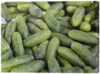 Pepino - Cucumber - Cetriolo - Gurke Canvas Print • - Cucumber (400x400), Png Download