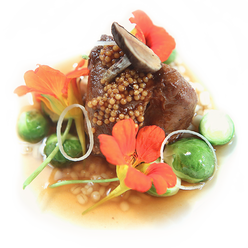 Free Recipes - Haute Cuisine Recipes (798x798), Png Download