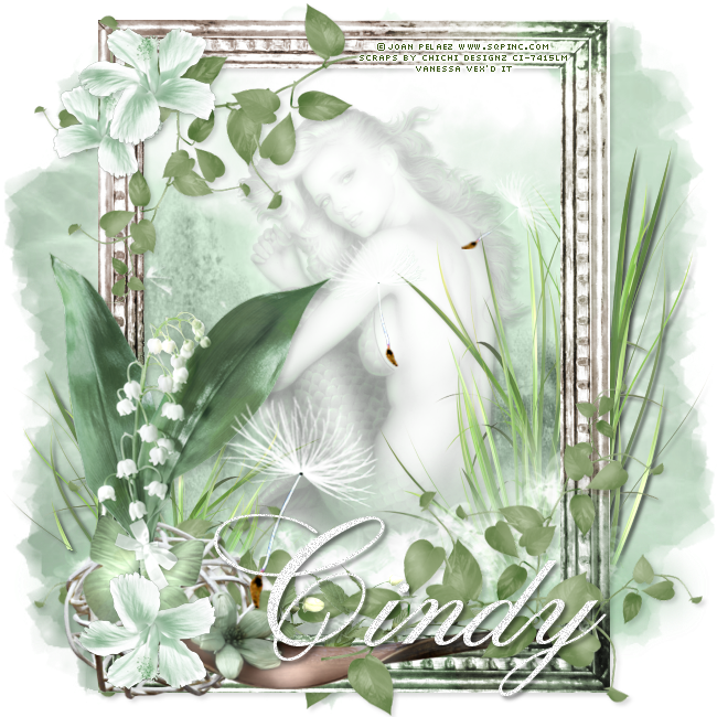 Lily Of The Mist - Picture Frame (650x650), Png Download