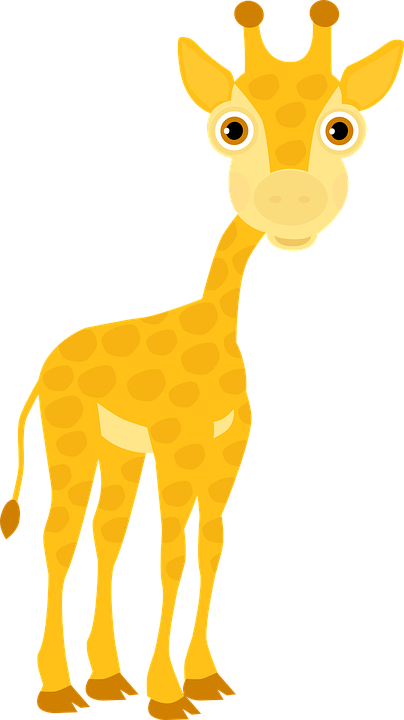 Zoo Clipart Giraffe - ยีราฟ Png (404x720), Png Download