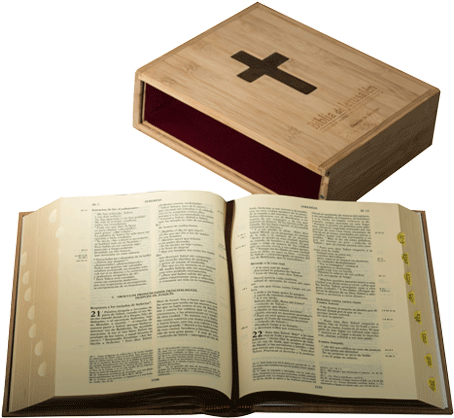 Biblia Abierta Edición Especial Numerada - Biblia Edicion De Lujo (607x432), Png Download