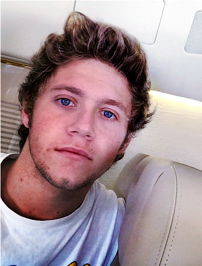 Brunette Niall Is Wow - Niall Beard (500x524), Png Download