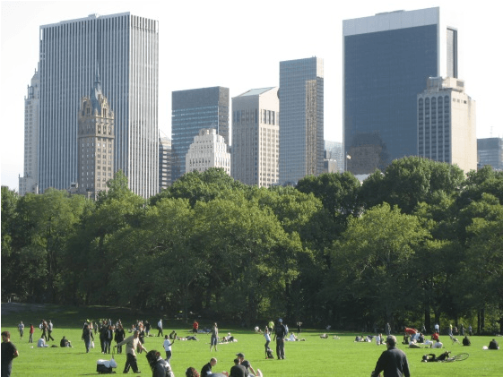 Building A Green Work Space - Central Park (900x420), Png Download