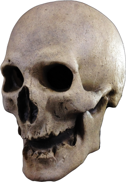 Previous Product Next Product - Trick Or Treat Studios Antique Skull Mask (436x639), Png Download