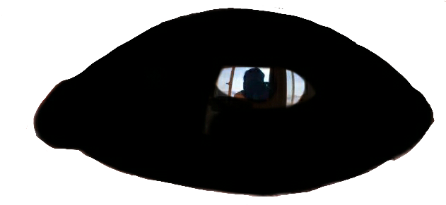 Report Abuse - Demon Eye Png Black (938x614), Png Download