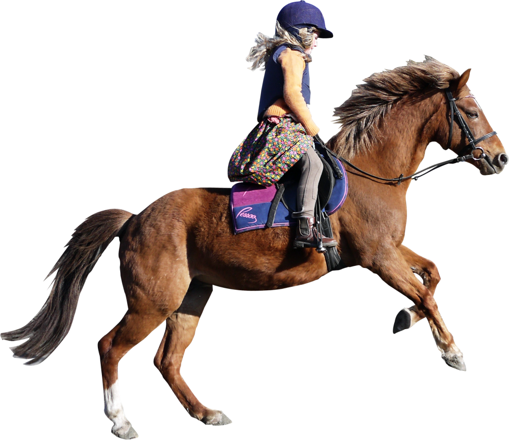 Girl With Horse Png (1024x885), Png Download