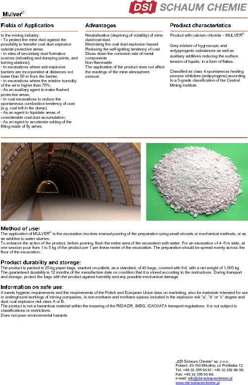 In The Mining Industry - Dywidag Systems International (595x842), Png Download