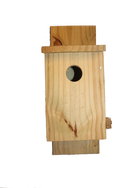 Plywood (498x747), Png Download