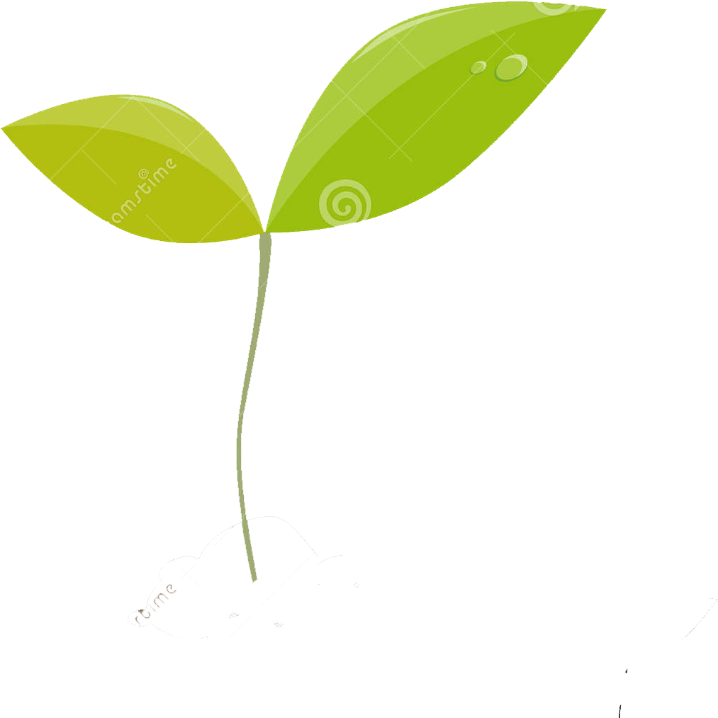 Beaver, Bog, Cattail, Dragonfly, Ecology, Eng, Fen, - Planta Silueta (1300x1390), Png Download