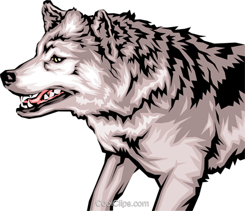 Growling Wolf With Mean Looking Teeth Royalty Free - Fierce Wolf Clipart (480x413), Png Download