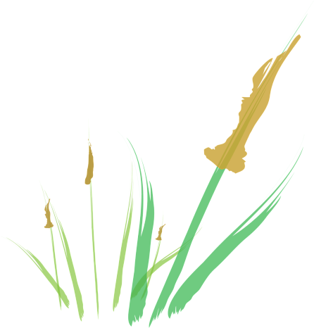 Cattail Abstract Digital Illustration - Illustration (480x480), Png Download