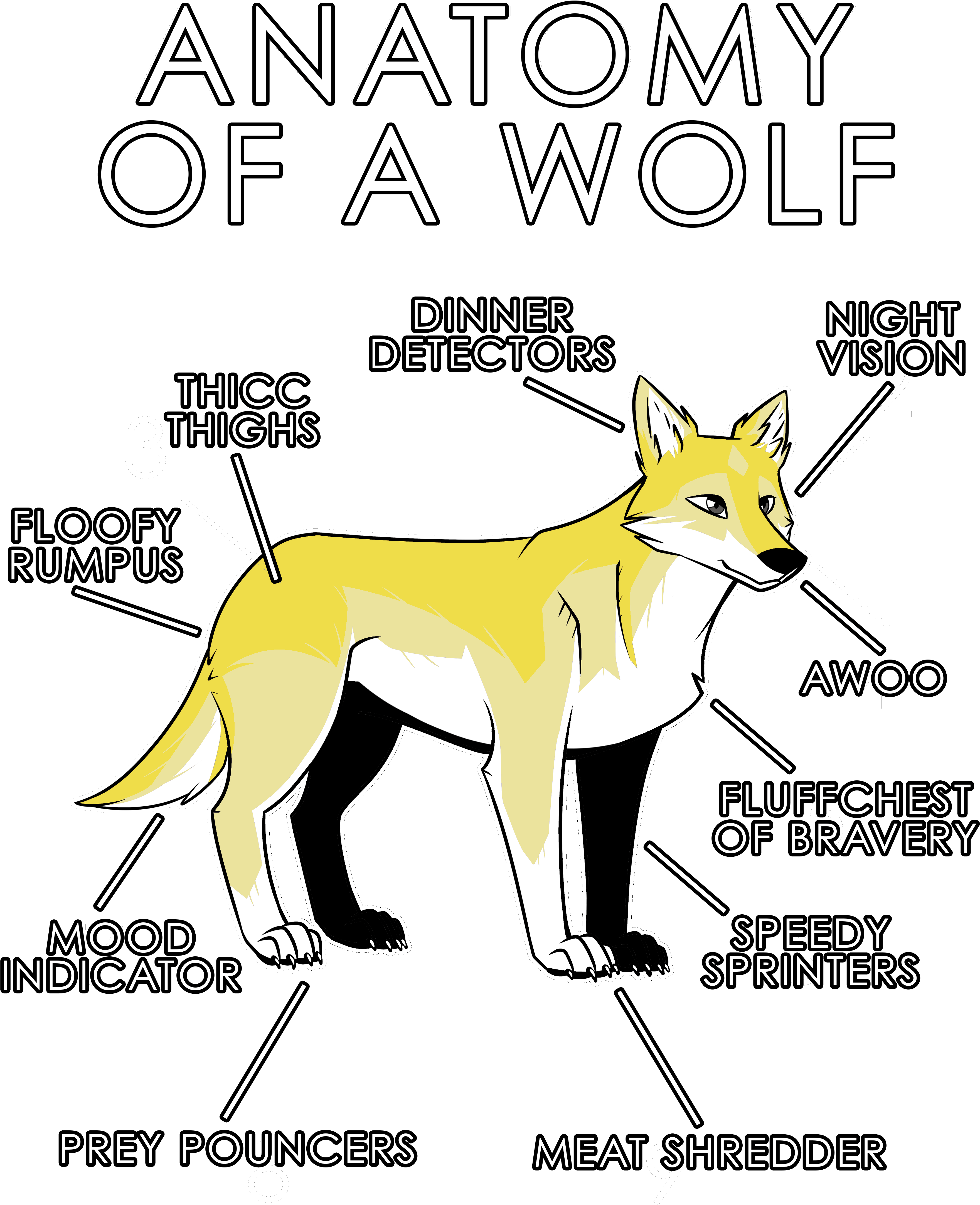 White Wolf Clipart Anatomy - Anatomy Of A Furry (3630x4950), Png Download