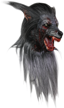Extreme Black Wolf Rotting Zombie Werewolf Life Like - Mascaras De Hombre Lobo (380x380), Png Download