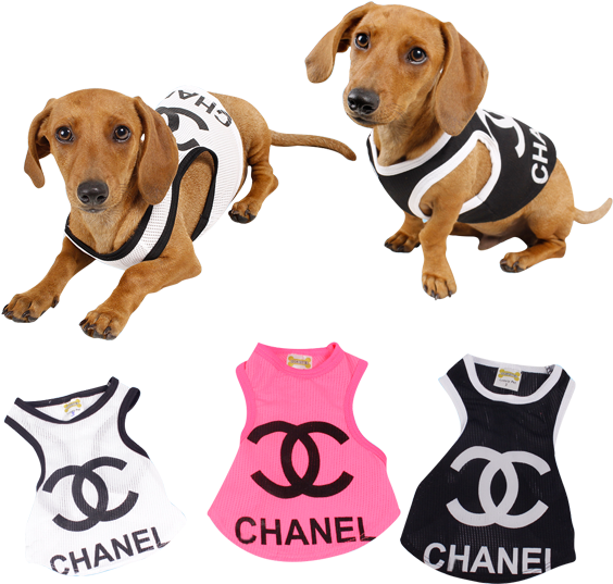 Doguister Polera Chanel - Kompremos.com (600x600), Png Download