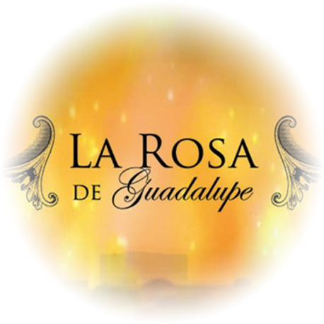 Rosa De Guadalupe (480x480), Png Download