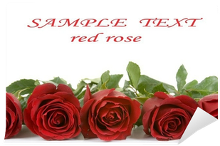Red Or White Roses Border (400x400), Png Download