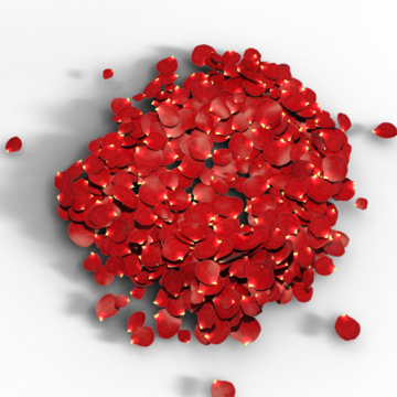 Red Flower Love, Love, Romantic, Flower Png And Psd - Love (360x360), Png Download