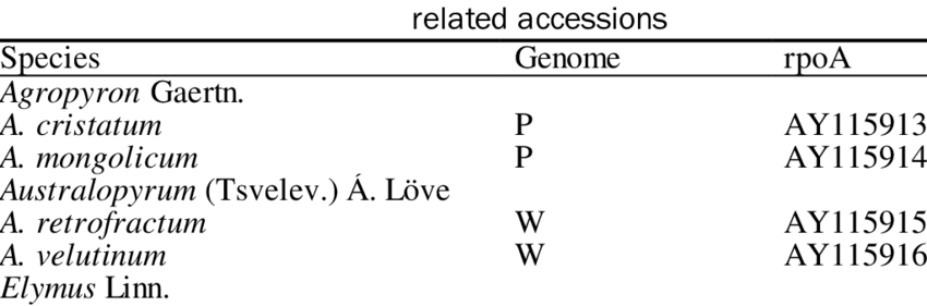 7 The Sequence Number Of Ropa In - Rna Polymerase (850x281), Png Download