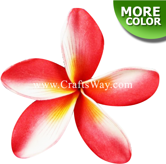 Foam Plumeria Type E - Frangipani (550x550), Png Download