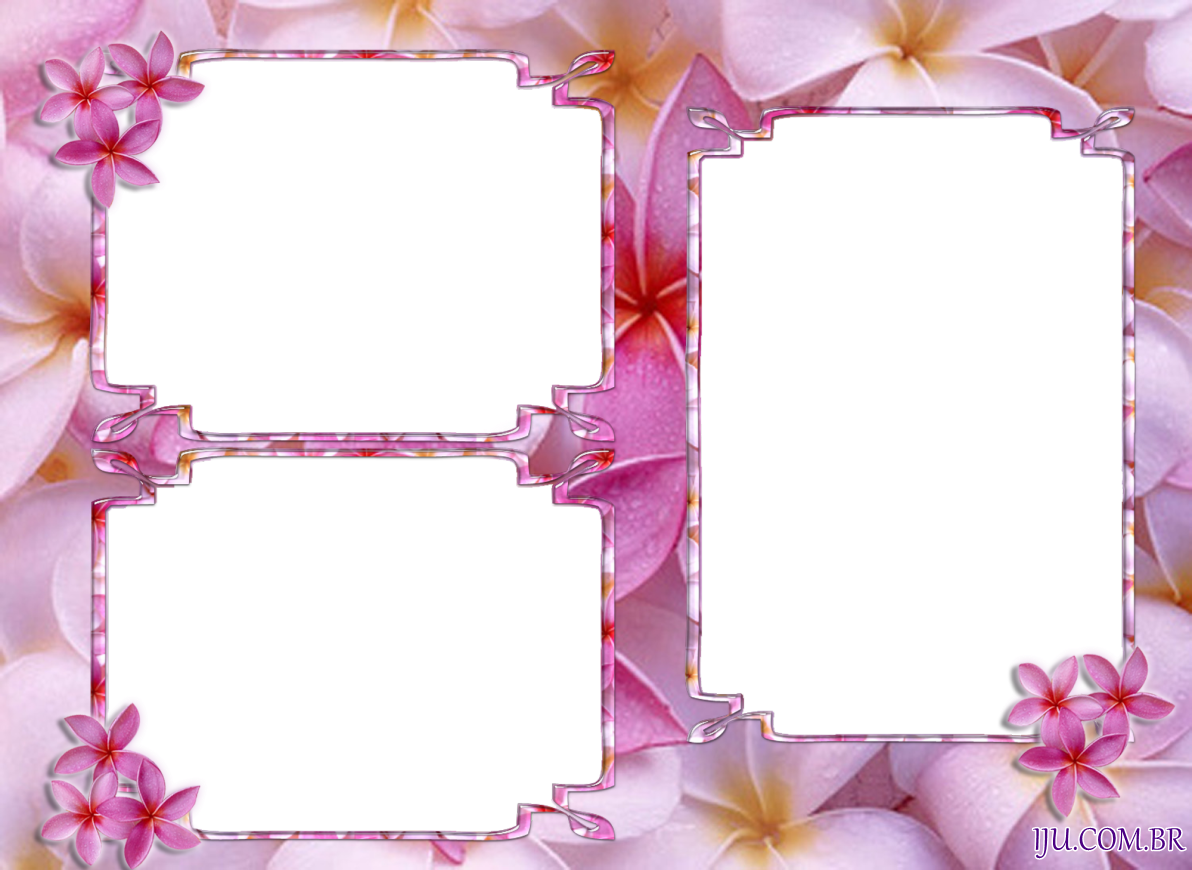 Tarlow Design Llc - Picture Frame (1192x870), Png Download