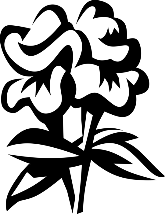 Vector Illustration Of Snapdragon Flowering Garden - Clip Art (541x700), Png Download