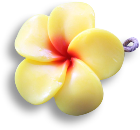 Yellow Frangipani - Frangipani (600x600), Png Download
