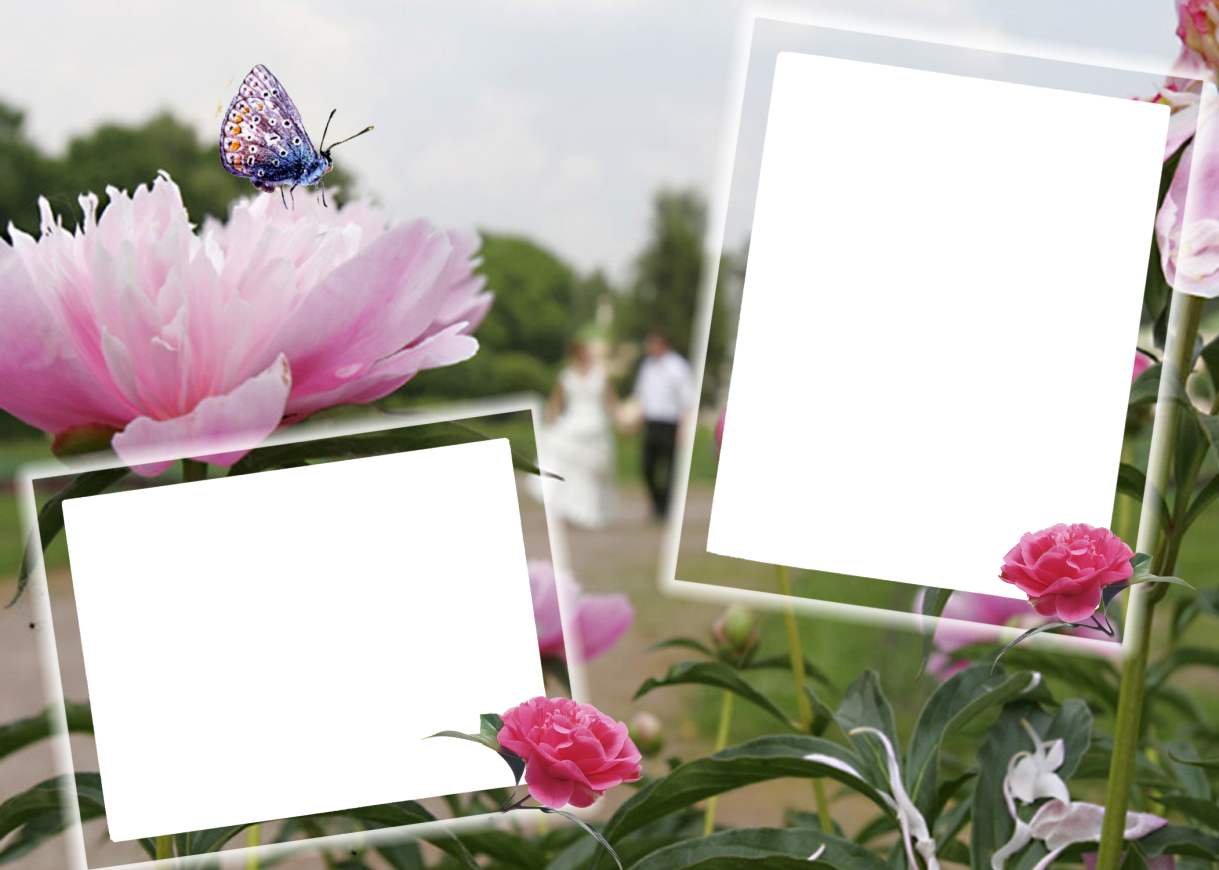 Belas Molduras Com Flores (1219x870), Png Download