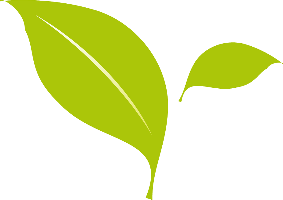 листочки вектор. зеленые листочки. векторные листочки. листик вектор. листочек вектор.