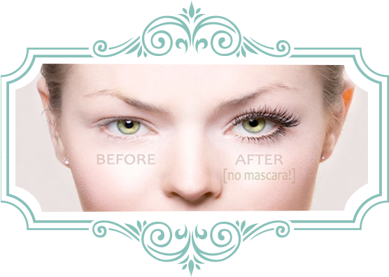 Content Img Left - Shubh Vivah Logo Png (555x407), Png Download