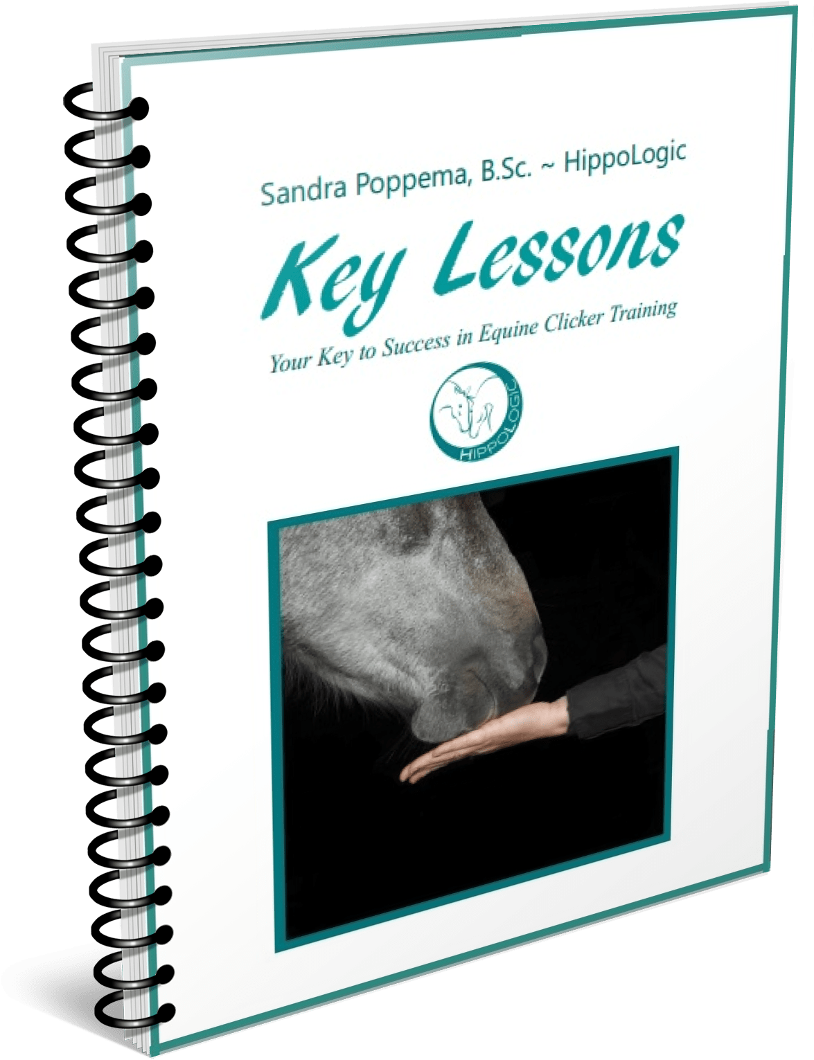 Key Lessons Your Key To Success In Equine Clicker Training - Curriculum (1500x1650), Png Download