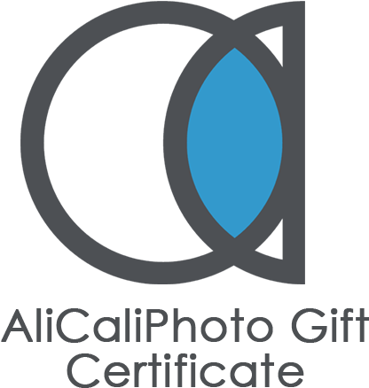 Gift Certificate (500x500), Png Download